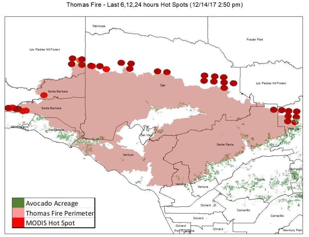 A map shows avocado groves in green, located in or near the Thomas Fire perimeter in Ventura and Santa Barbara counties.