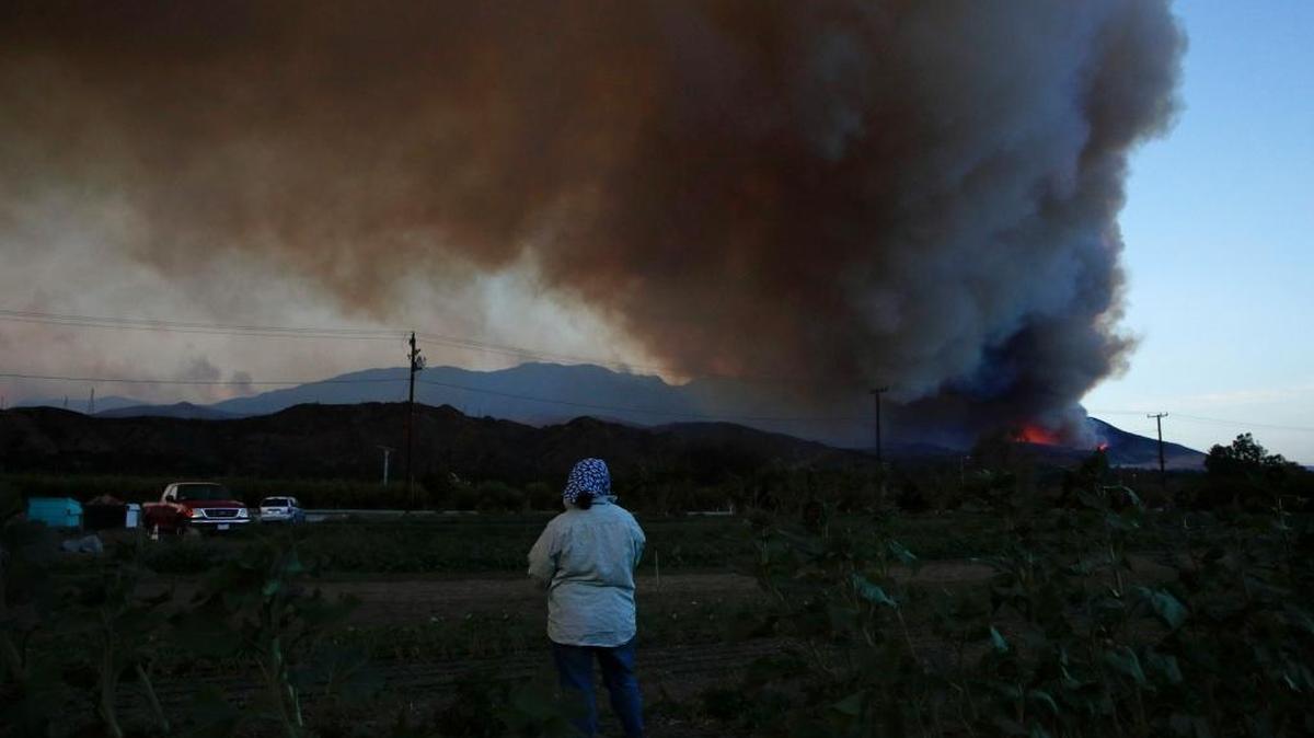 Farmworker Maria Carlines watches a huge plume of smoke from a massive wildfire on Thursday, December 7, 2017 in Santa Paula, California. The wind-swept blazes forced tens of thousands of evacuations and destroyed dozens of homes.