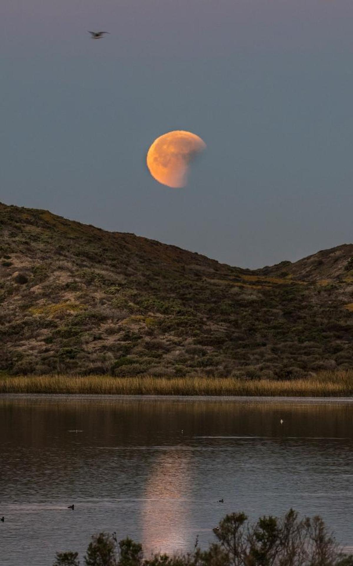 Moonset over the Los Osos sandspit at the edge of Montana de Oro State park.