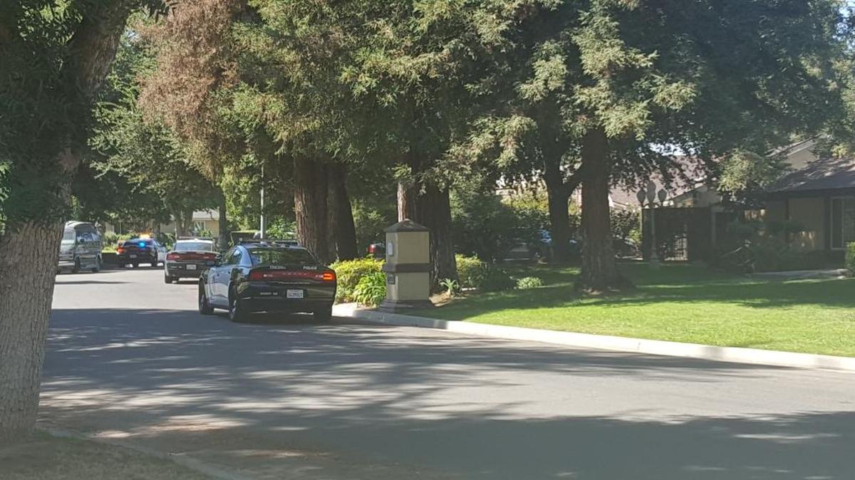Police cars line a street in southeast Fresno, where two children drowned in a backyard pool on Monday, Sept. 19, 2016.