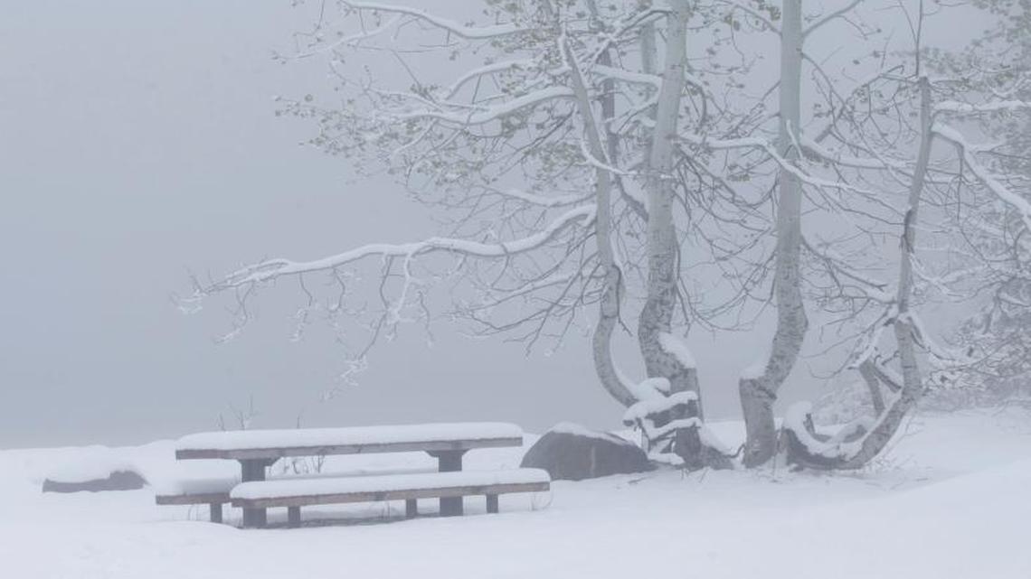 Snow covers a picnic table at Serene Lakes, Monday, June 12, 2017, near Soda Springs, Calif. A rare winter-like storm brought more snow to the Sierra Nevada, Monday.