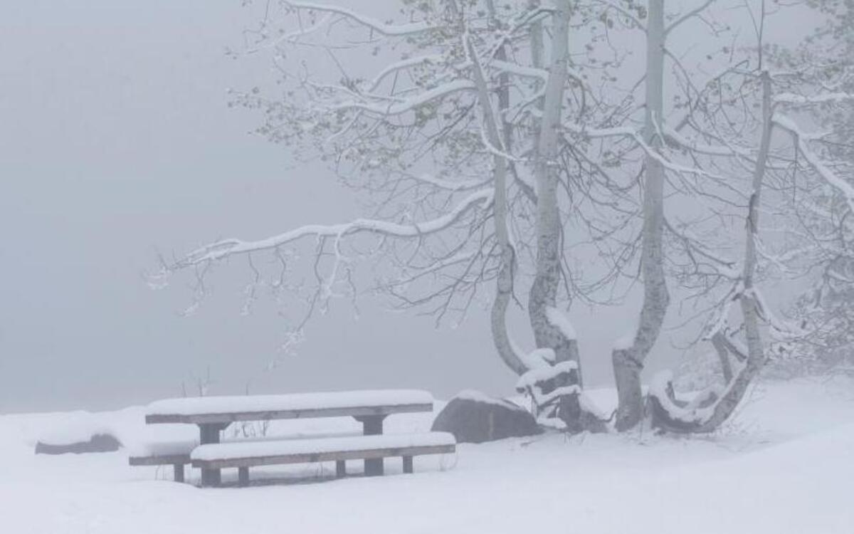 Snow covers a picnic table at Serene Lakes, Monday, June 12, 2017, near Soda Springs, Calif. A rare winter-like storm brought more snow to the Sierra Nevada, Monday.