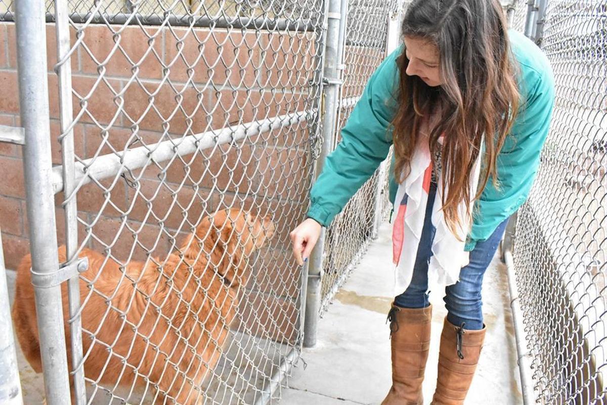 Clair Lofthouse with the Santa Barbara Humane Society visits a dog named Dora whose owners evacuated ahead of a powerful winter storm expected to hit Santa Barbara County.