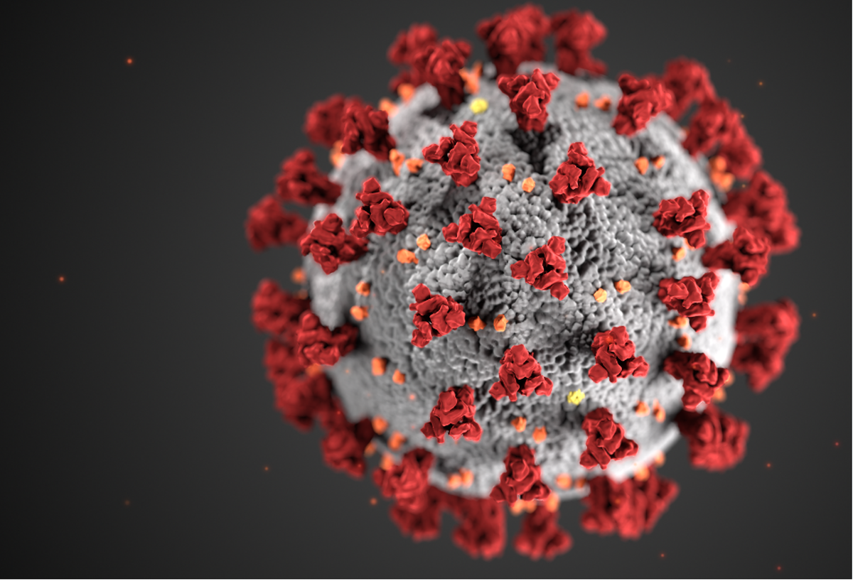 A Centers for Disease Control and Prevention (CDC) illustration shows “ultrastructural morphology” exhibited by coronaviruses.