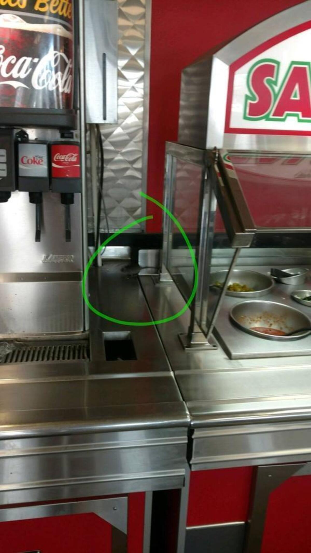 Jennifer Colman said she was eating at the Nipomo Carl’s Jr. on Sept. 10, 2017 when she spotted a mouse between the soda dispenser and salsa bar.