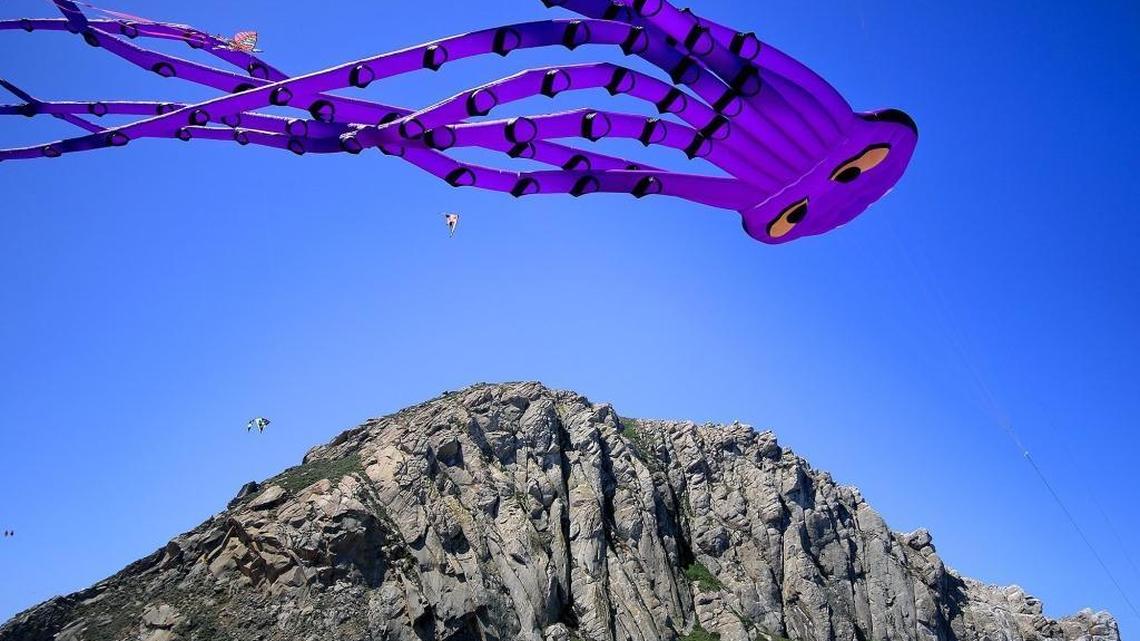 Do you have COVID-19 cabin fever? This Morro Bay shop offers a cure