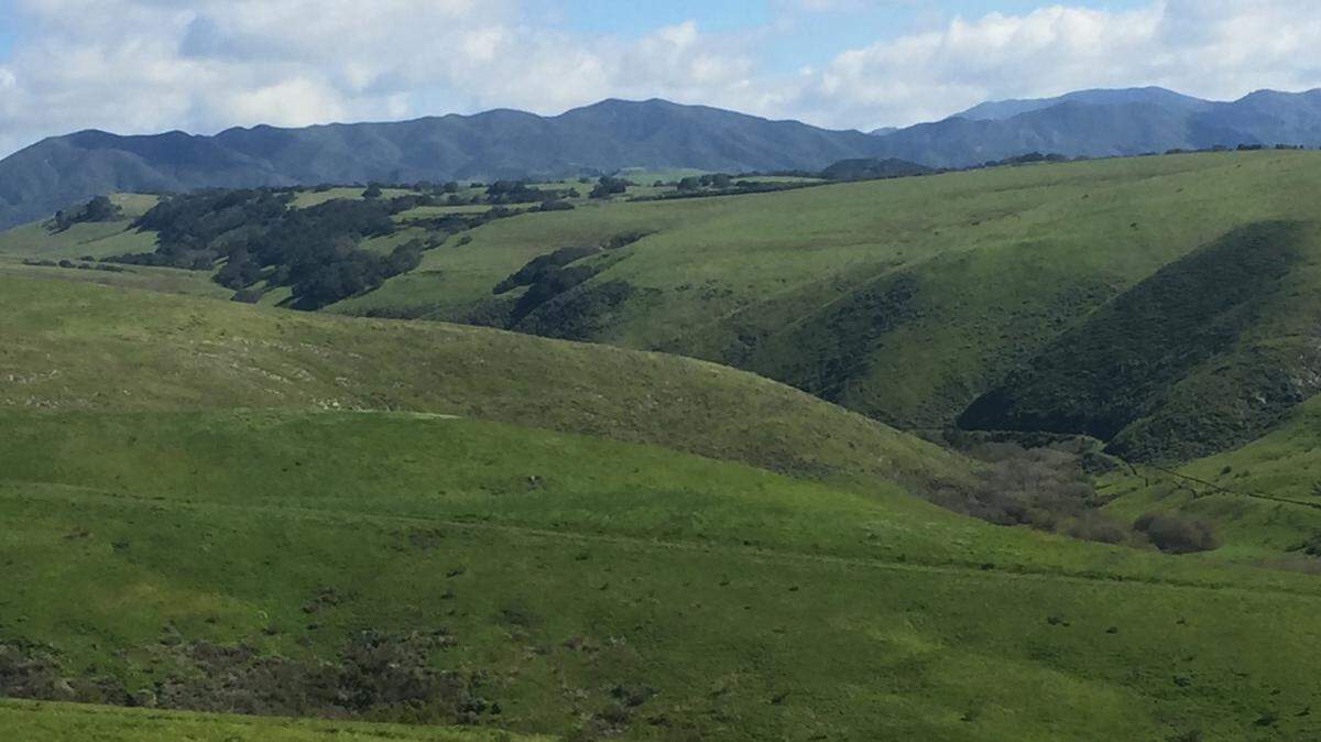 The Toro Coast Preserve will include public trails, a campground and a dog beach connecting Morro Bay and Cayucos. It will be located on the Chevron property that served as an oil terminal.