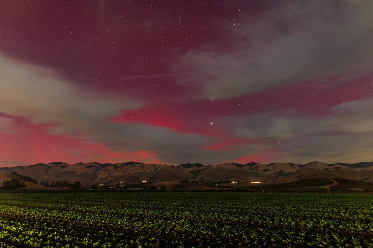 The northern lights returned to San Luis Obispo County on Thursday, Oct. 10, 2024, turning the night skies pink and purple over the Edna Valley.