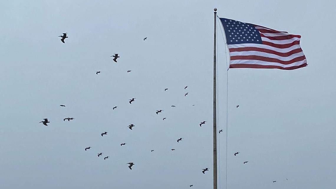 Pelicans fly near Pismo Pier in 23 mph winds during an atmospheric river storm on Feb. 13, 2025.