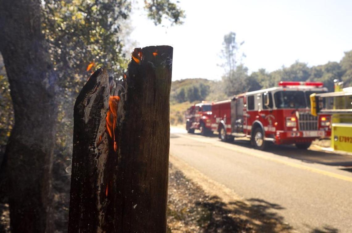 Flames burn a tree on Parkhill Road in Santa Margarita.