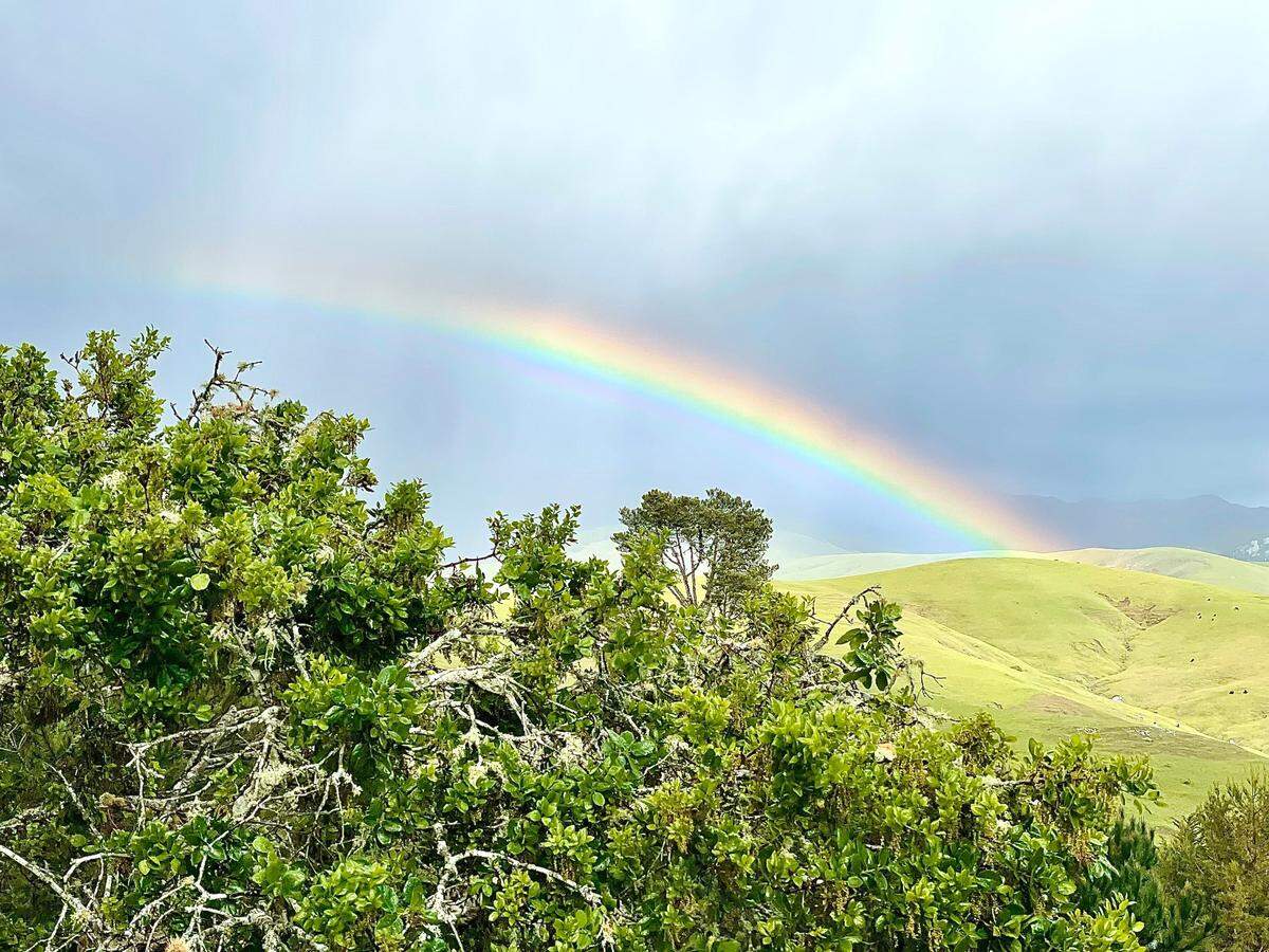 A rainbow rises over green hills in Cambria on Thursday, Feb. 23, 2023.