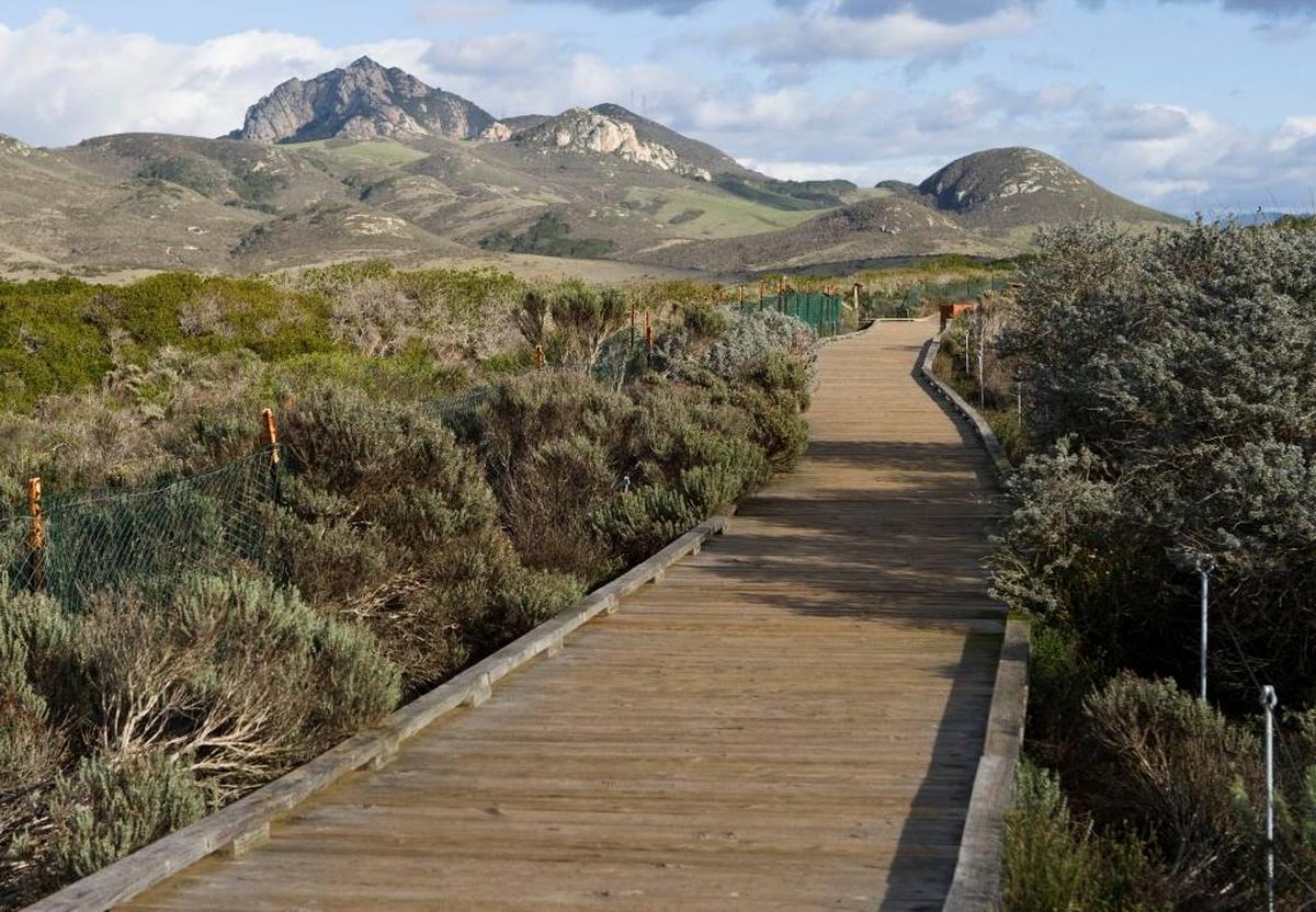 Elfin Forest.