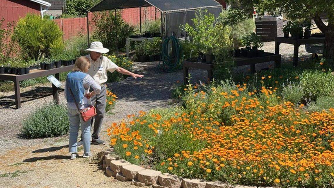 Want local flower inspiration? Event to showcase SLO County demonstration garden