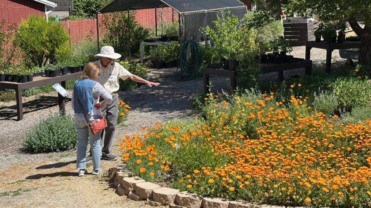 Master Gardener Gary Lawson describes the native plant plot to a visitor to the Garden of the Seven Sisters.