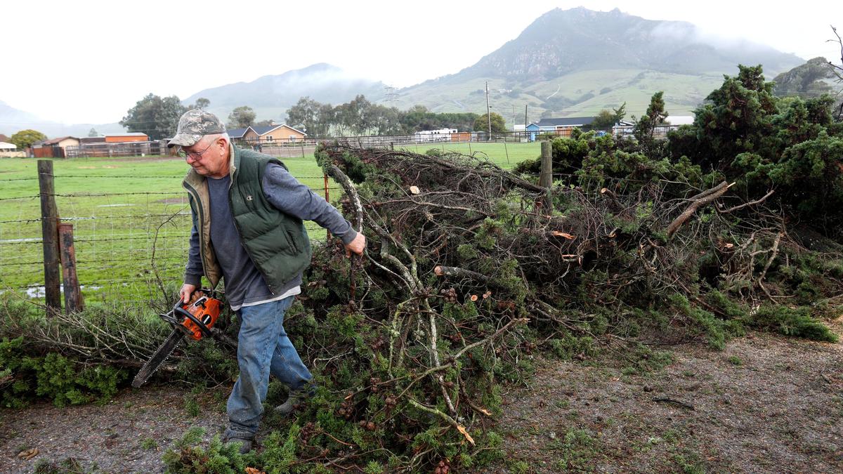 David Hudgens works Thursday morning to clear a path through a cypress tree that fell on Guerra Drive off of Foothill Boulevard in San Luis Obispo.