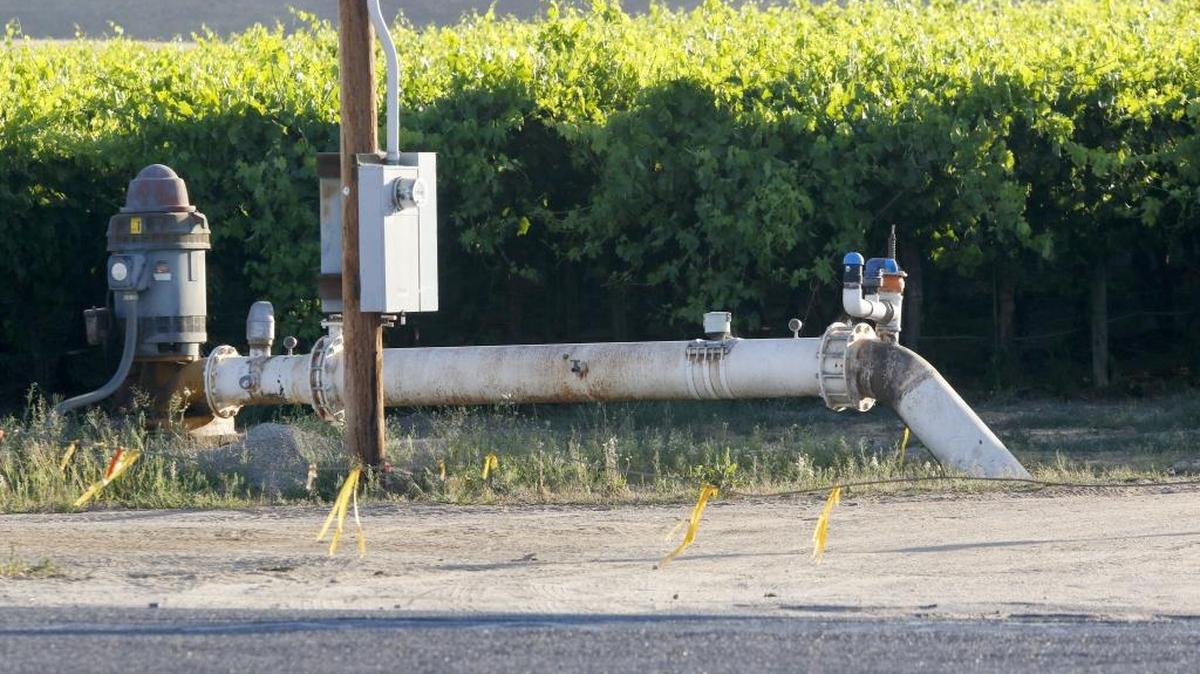 An electric powered well near Highway 41 near Shandon services a vineyard.