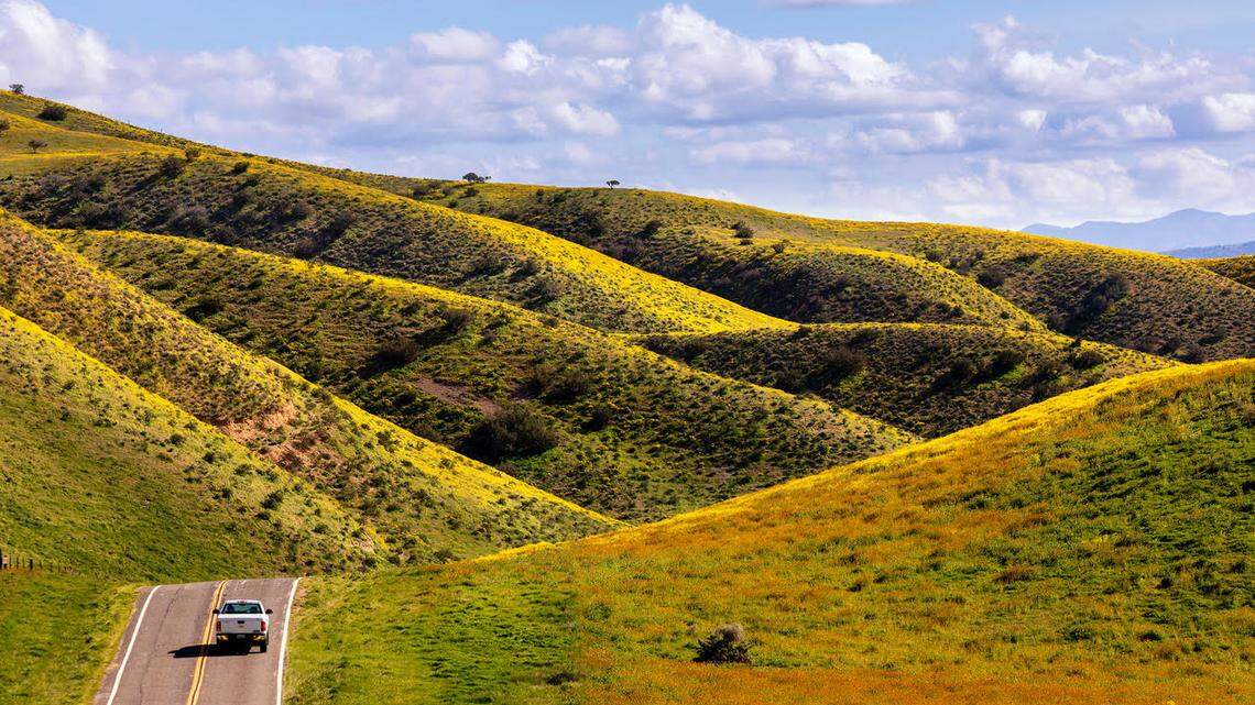 Wildflower-covered hillsides at the Carrizo Plain National Monument in San Luis Obispo County, as photographed on April 2, 2019.