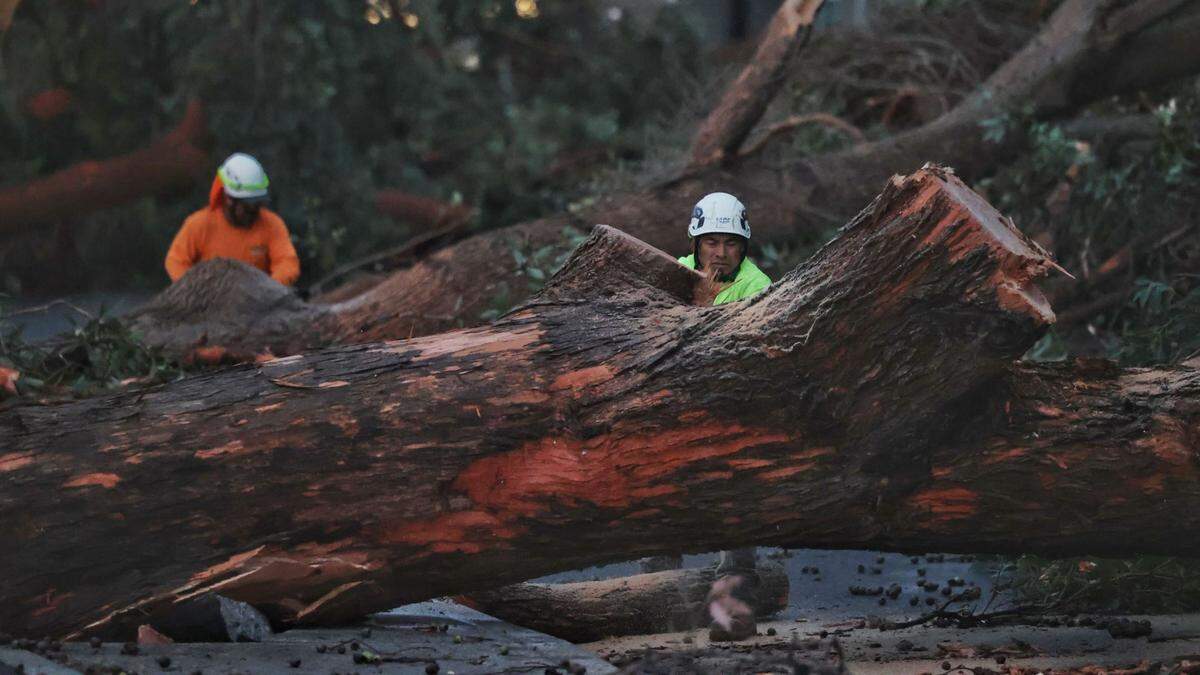 Crews on 9th Street in Grover Beach work to clear debris left in the wake of a possible tornado Feb. 7, 2024.