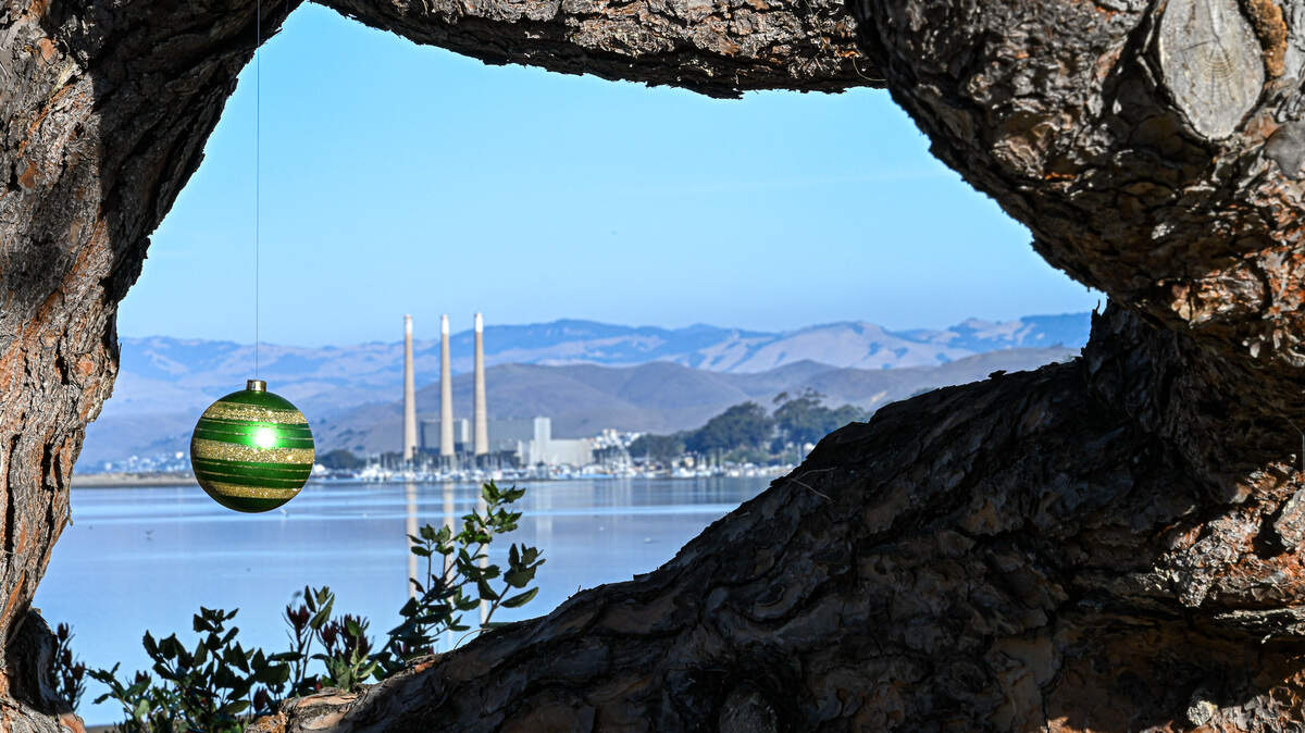 The view from Baywood Park looking out toward Morro Bay.