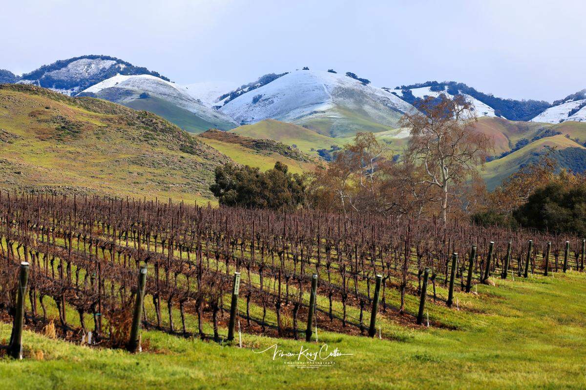 Snow dusts the hills behind a vineyard between San Luis Obispo and Arroyo Grande on Feb. 25, 2023.