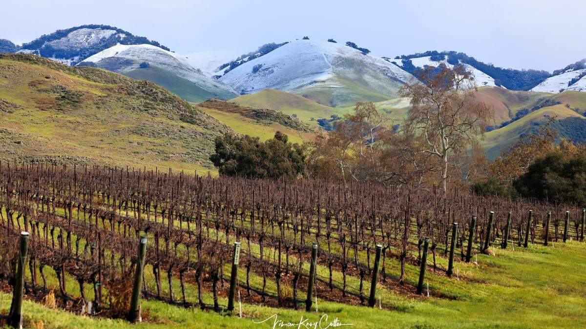 Snow dusts the hills behind a vineyard between San Luis Obispo and Arroyo Grande on Feb. 25, 2023.
