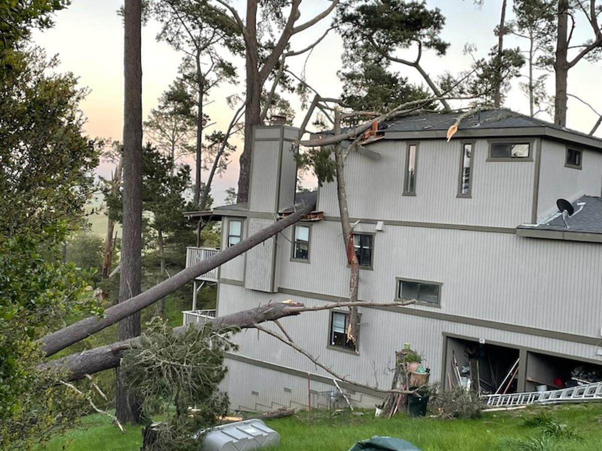 Trees fell onto a house on Pineridge Drive in Cambria on Tuesday, Feb. 21, 2023.