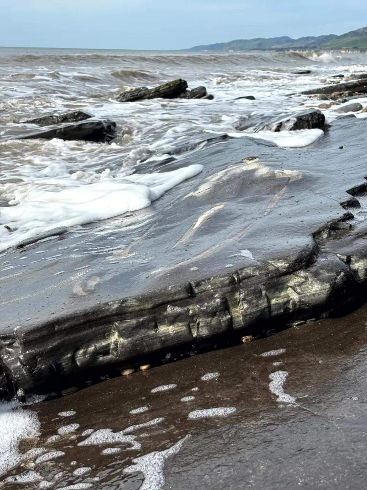 A 1,500-pound whale fossil was found along the Gaviota Coast. The Santa Barbara Museum of Natural History says the fossil is unique for how complete it is.