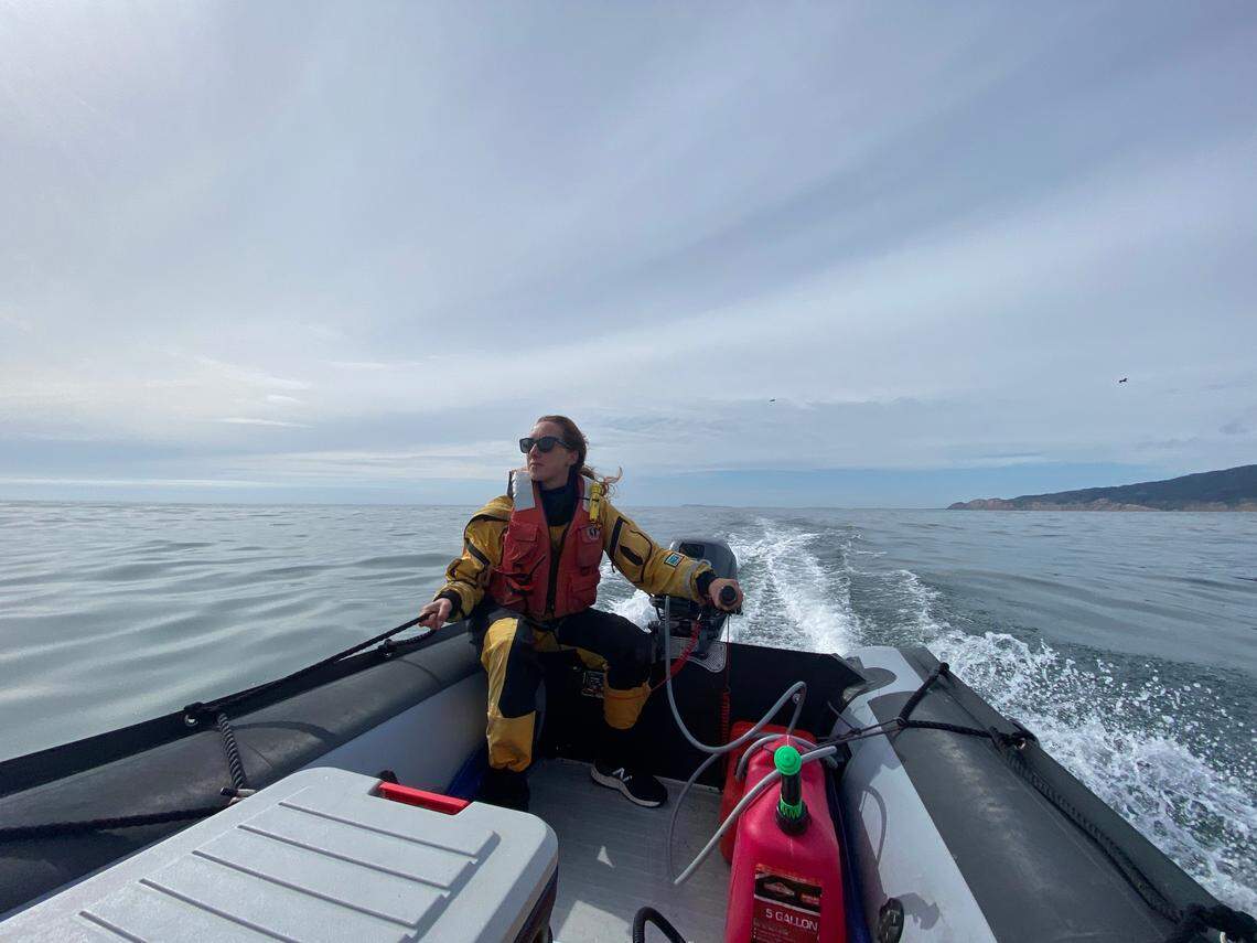 USGS&nbsp;Western Ecological Research Center biologist Laney White drives a Zodiac to one of the USGS ashy storm petrel study sites