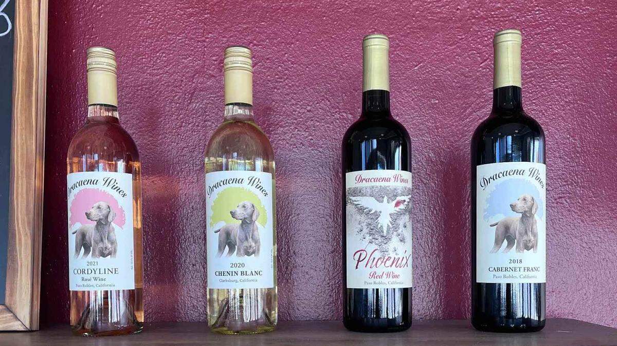 Dracaena Wines opened a tasting room in downtown Paso Robles on Monday, March 6, 2023.