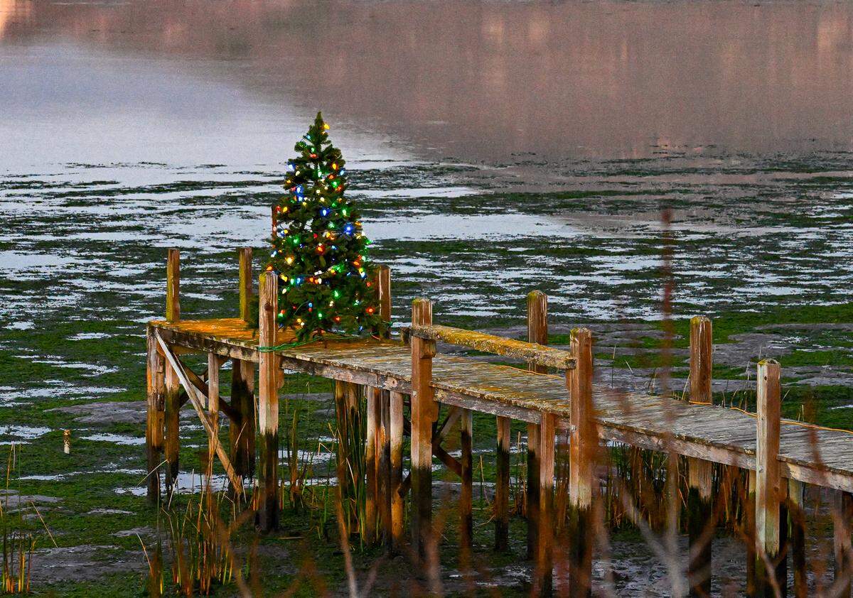 A Christmas tree rests on a pier at Baywood Park on Dec. 5, 2024.