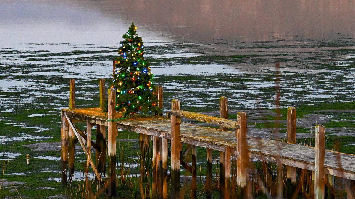 A Christmas tree rests on a pier at Baywood Park on Dec. 5, 2024.