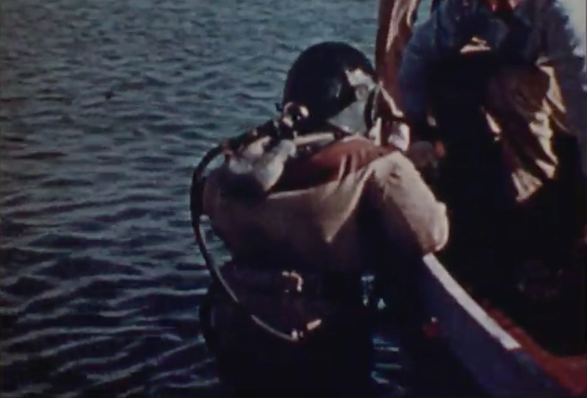 A diver retrieves abalone from the Morro Bay Estuary in a screenshot from the 1938 San Luis Obispo Chamber of Commerce film “Recreation Unlimited.”
