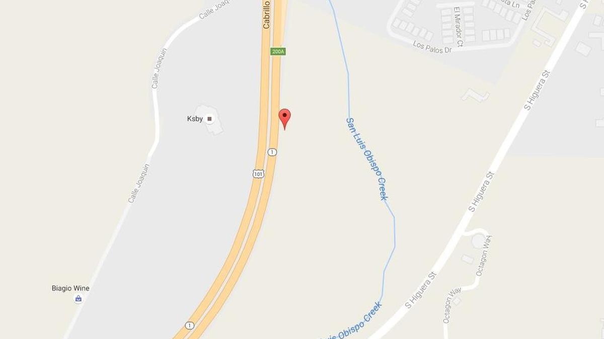 A small roadside fire late Sunday morning near northbound Highway 101 was likely started by broken brake pads, according to the San Luis Obispo City Fire Department.