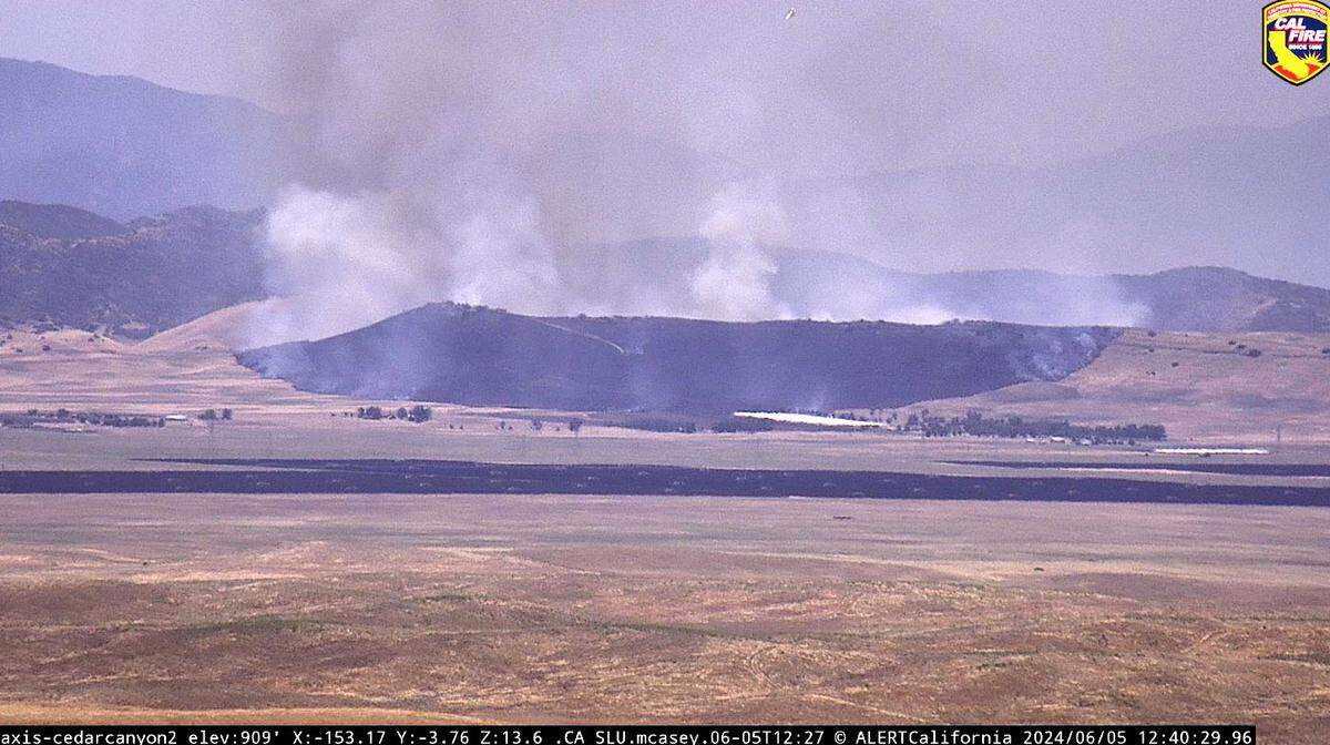 A wildfire burns grassland on the eastern edge of San Luis Obispo County north of the Carrizo Plain National Monument on Wednesday, June 5, 2024.
