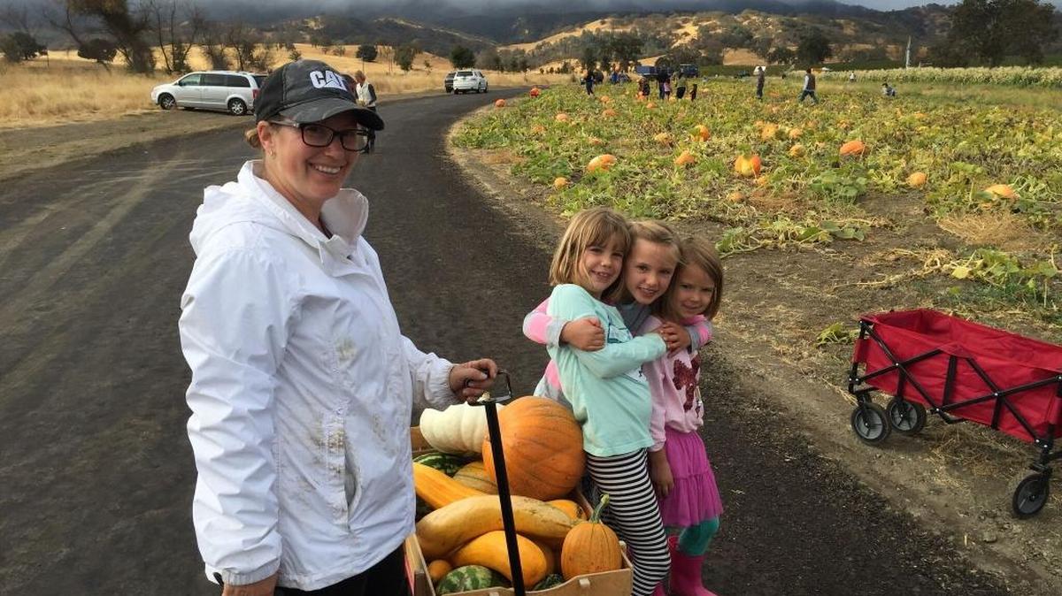 Children pick pumpkins and squash at Ancient Peaks Winery’s Santa Margarita Ranch.