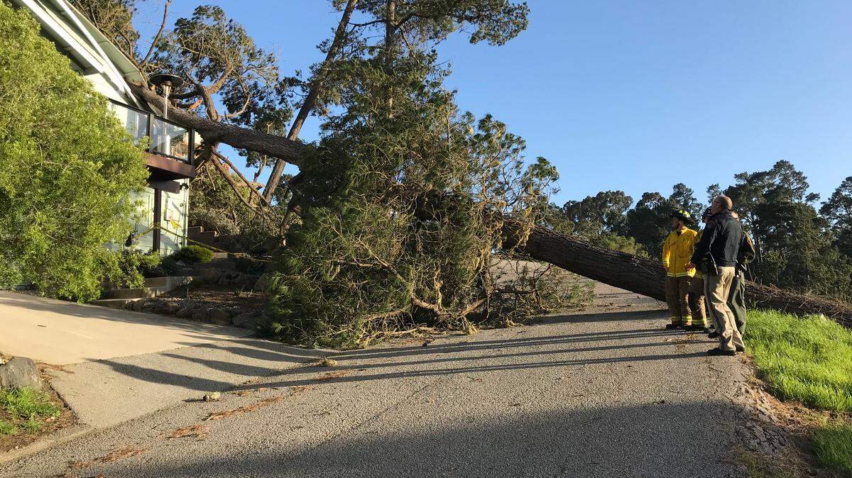 An estimated $30,000 in damage was caused by a tree falling through a home on the 3100 block of Rogers Road in Cambria, according to Cambria Fire Department, as high wind swept across the county Tuesday evening.