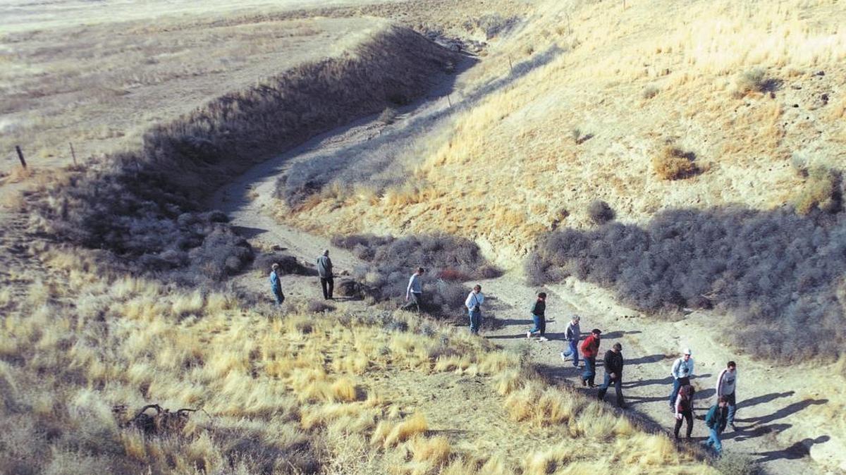 Wallace Creek swings 430 feet northwest as the creekbed issues from the Panorama Hills before finding its historic outlet. Geology outpaces rainfall in the dry Carrizo Plain, and the Z shape is the result of 3,700 years of movement on the San Andreas Fault.
