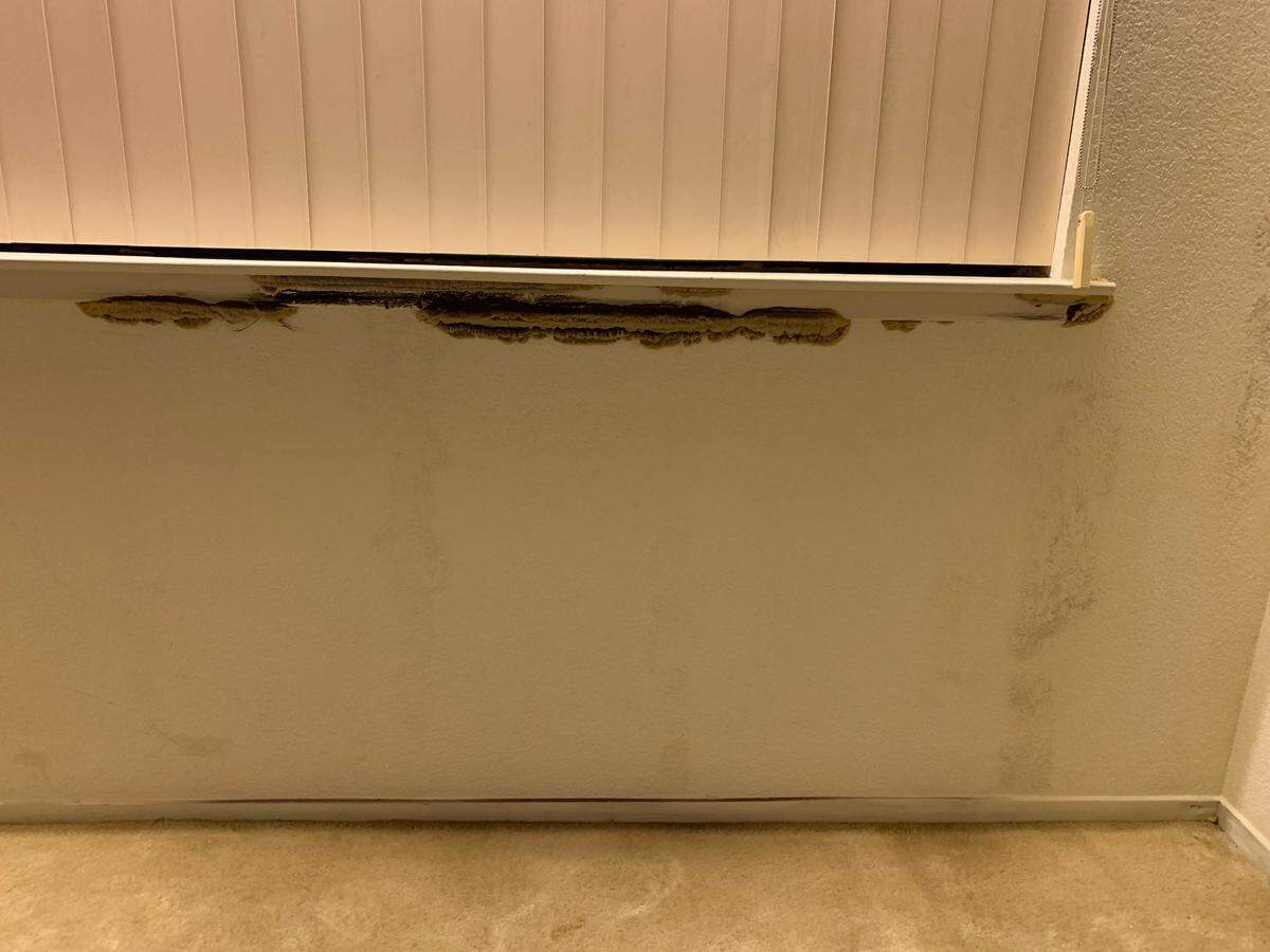 Just after Miranda gave birth to her son, she and her husband began noticing fungus growing on one of the walls in their Cambria rental home. Mold was visible on the wall, and they spotted fungus around window sills.
