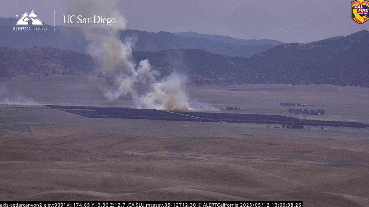A vegetation fire broke out north of Highway 58 near California Valley on May 12, 2025.
