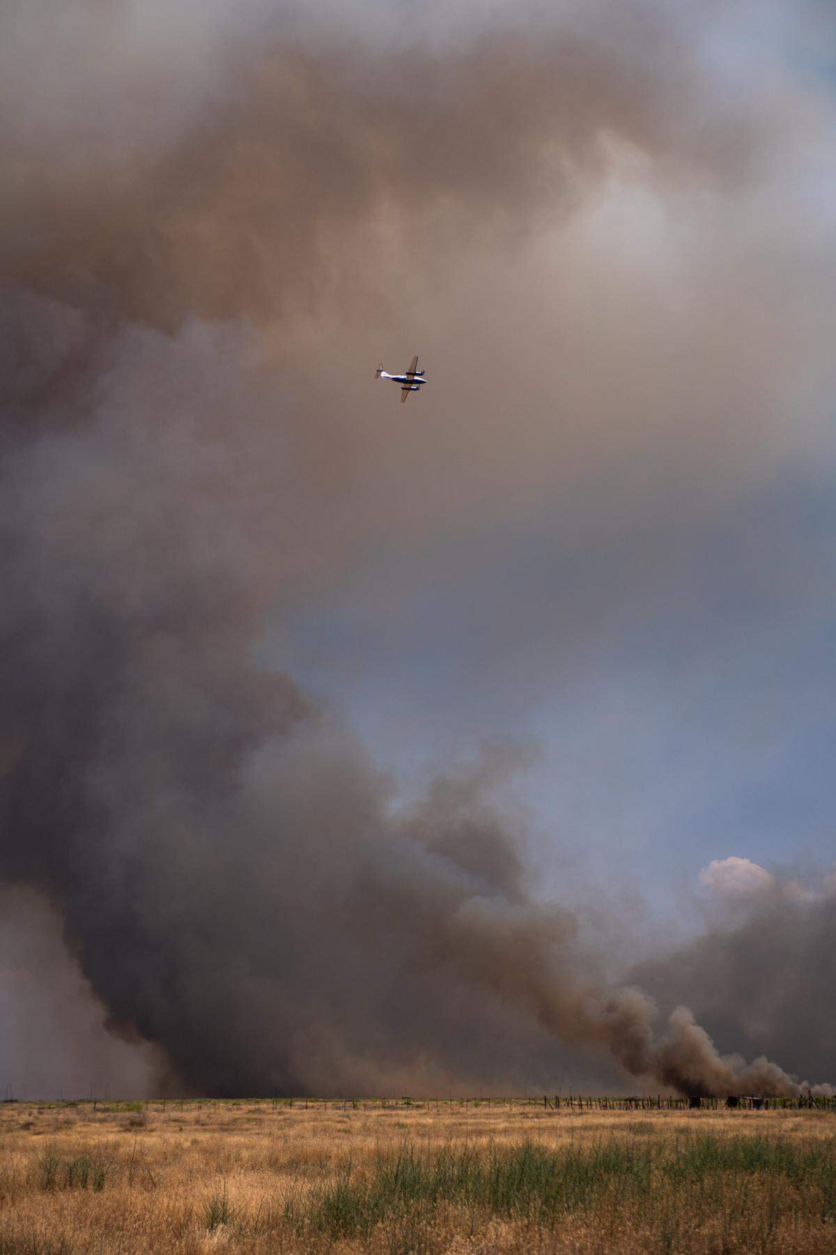 The Bear Fire burned 1,410 acres in California Valley on June 12, 2024.