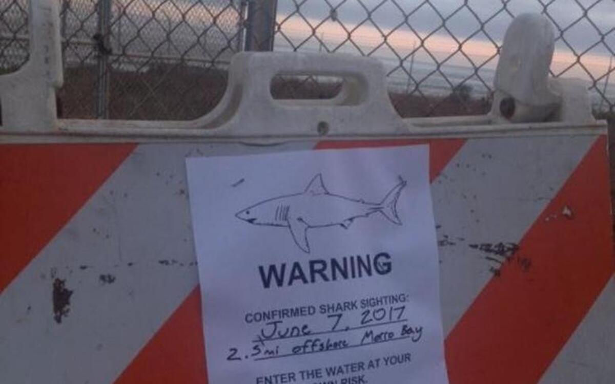 A sign warning of a confirmed shark sighting was posted in Morro Bay on Wednesday evening.