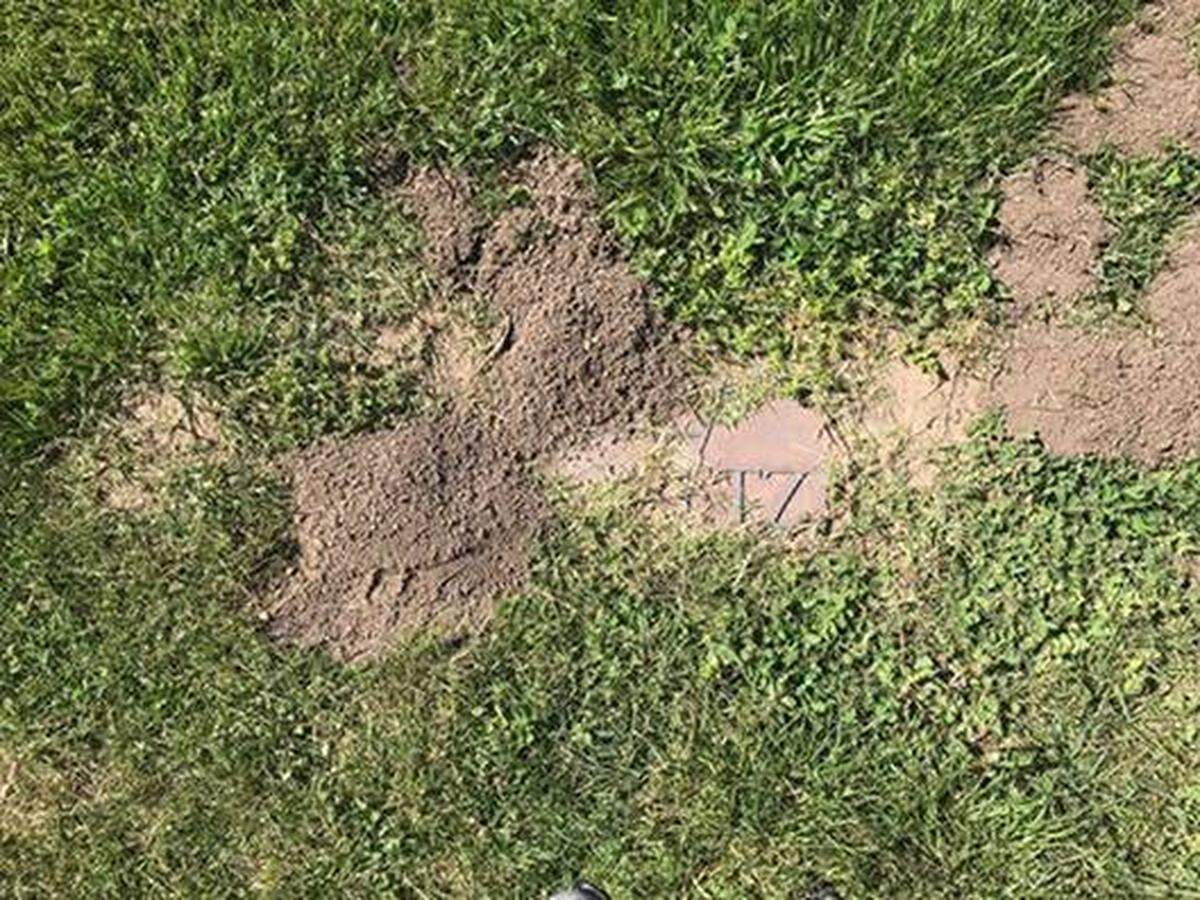 When Evelyn Plemons visited her parents’ grave on May 8, 2022, it was completely covered in dirt and weeds.