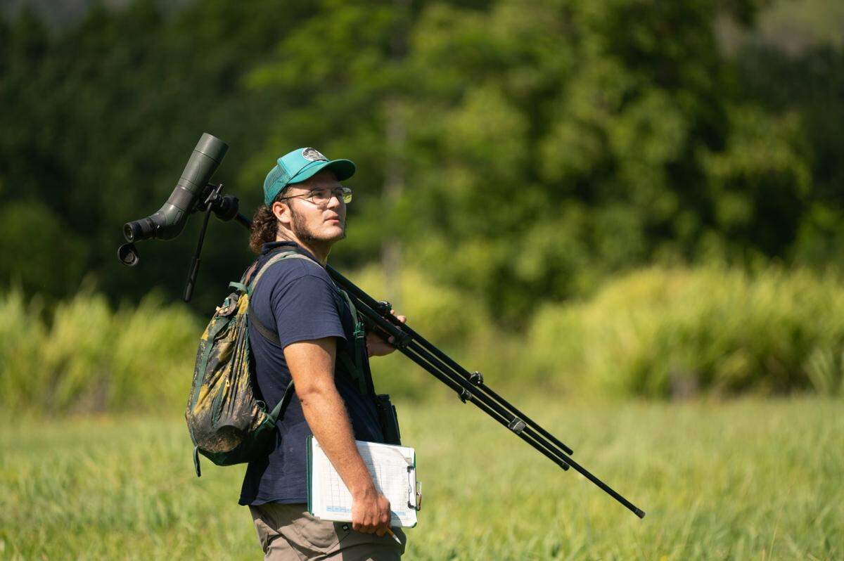 Wildlife biologist Ben Vizzachero conducts a waterbird count at Hanalei National Wildlife Refuge. He lost his job at the Los Padres National Forest as part of a wave of firings ordered by the Trump administration.