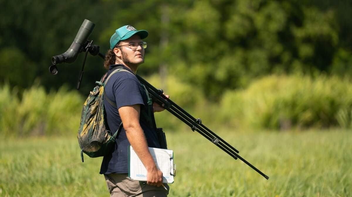 Wildlife biologist Ben Vizzachero conducts a waterbird count at Hanalei National Wildlife Refuge. He lost his job at the Los Padres National Forest as part of a wave of firings ordered by the Trump administration.