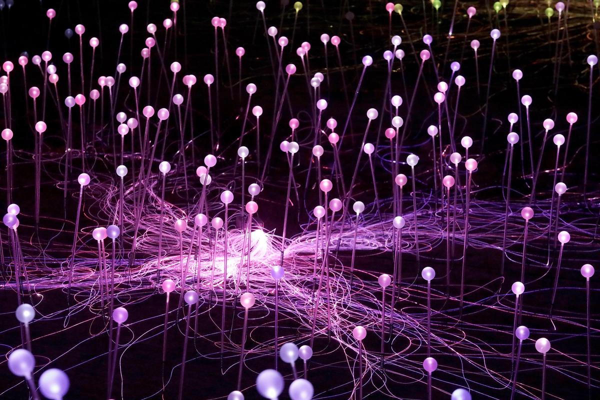 The Field of Light at Sensorio in Paso Robles created by artist Bruce Munro. (Laura Dickinson)