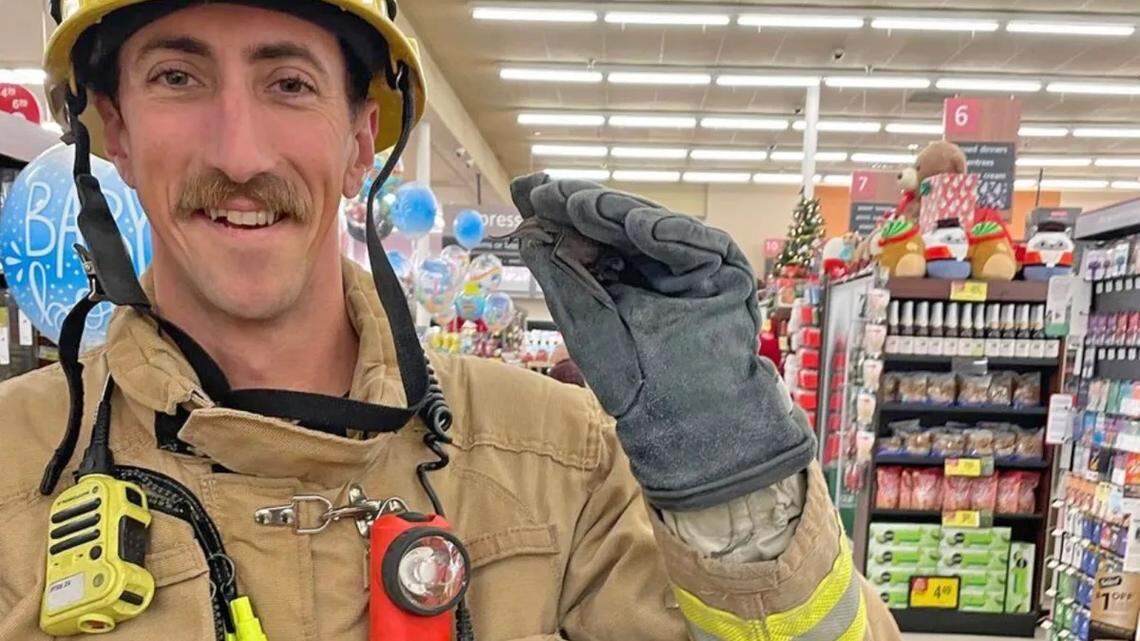 Firefighters rescue bat from ceiling of Central Coast grocery store