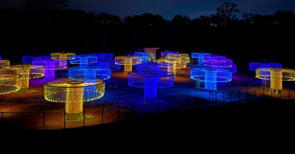 Sensorio in Paso Robles will unveil a new fiber optic light and sound exhibit in April 2025, called “FOSO: Fiber Optic Symphonic Orchestra.”