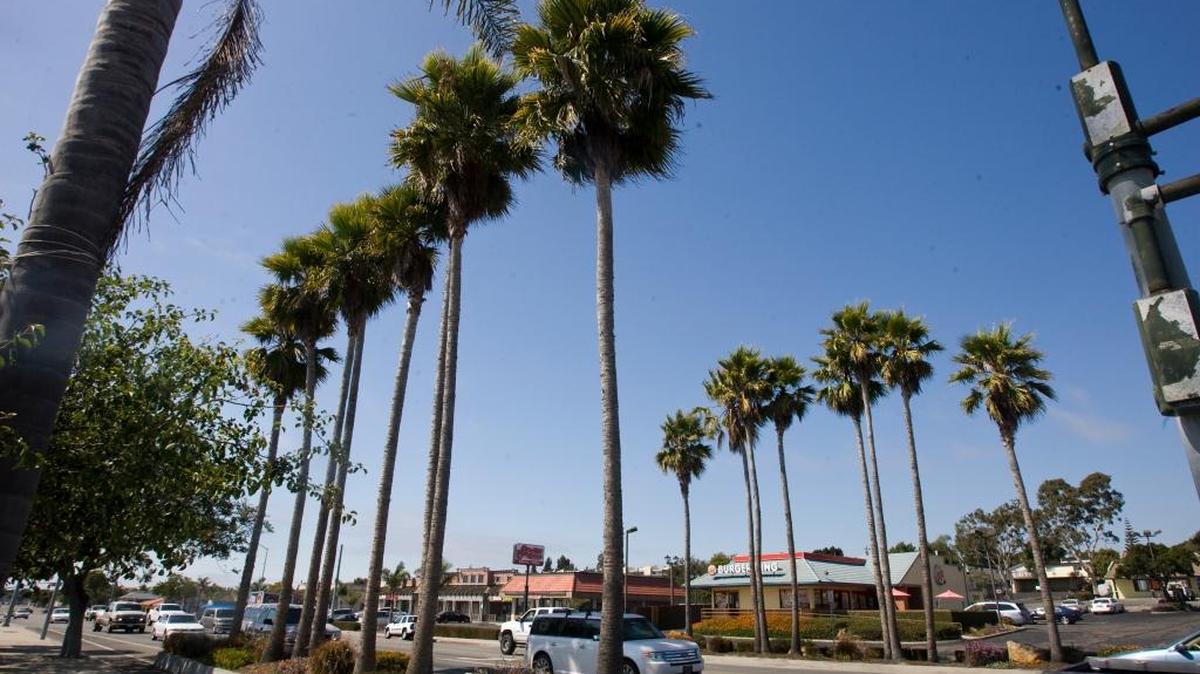 Candiates running for Grover Beach mayor and City Council participated in an election forum on Thursday, Oct. 13, 2022.
