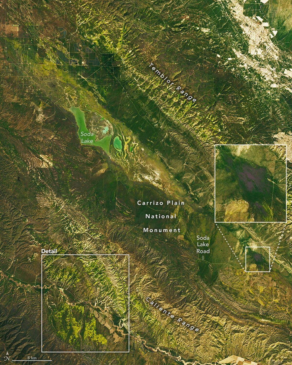 The superbloom in the Carrizo Plain National Monument in San Luis Obispo County can be seen from space, as shown in satellite images released by NASA in April 2023. This image shows an unexpected patch of purple among the sea of yellow near Soda Lake Road.
