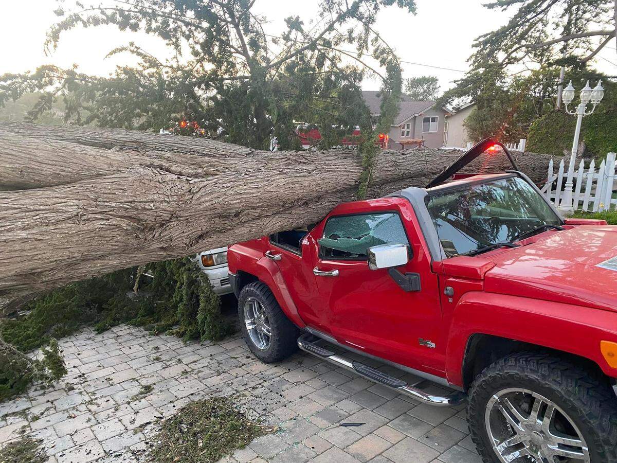 A large tree fell onto parked cars outside a home on Richard Drive in Cambria on Tuesday, Feb. 21, 2023.